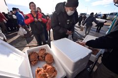 ゆでたての毛ガニなど大津産の海産物が並んだ売り場(7日午前10時ごろ、大津漁協荷さばき所で。須貝拓也撮影)