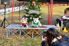 わんわん冬祭り　クリスマス衣装で仮装コンテスト 2