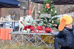 わんわん冬祭り　クリスマス衣装で仮装コンテスト 3