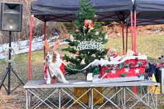 わんわん冬祭り　クリスマス衣装で仮装コンテスト 5