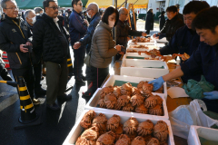 年末開催らしく、旬の毛ガニも登場。活気づいた「魚の日」