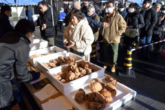 年末開催らしく、旬の毛ガニも登場。活気づいた「魚の日」