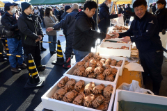 年末開催らしく、旬の毛ガニも登場。活気づいた「魚の日」