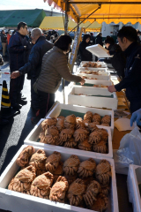 年末開催らしく、旬の毛ガニも登場。活気づいた「魚の日」