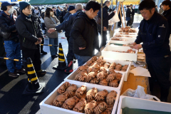 年末開催らしく、旬の毛ガニも登場。活気づいた「魚の日」