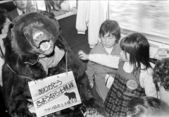 士幌線さよなら列車の車内