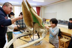 ・クジラの標本やレプリカに触れる参加者ら
