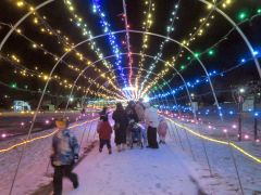 農村公園で始まったイルミネーション