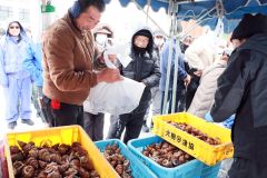 旬の海産物を買い求める人たち


