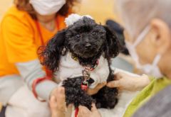 ほっこり、ハッピーわんにゃん大集合！（2）「働くわん！～北海道