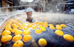 ゆず湯でぽっかぽか きょう冬至～師走スケッチ | 十勝毎日新聞電子版