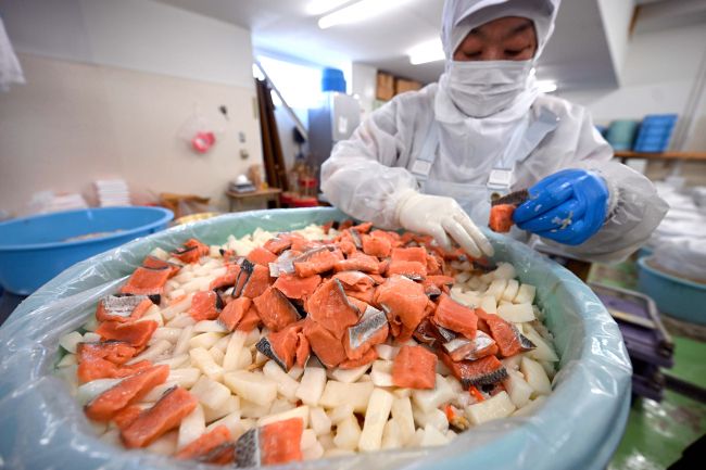 大津漁協女性部「サケの飯ずし」～豊頃【先読み新年号】 | 十勝毎日新聞電子版－Tokachi Mainichi News Web
