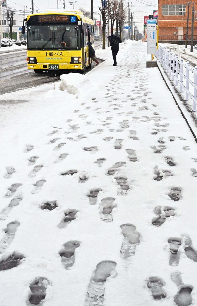 4月並み気温で湿り雪 ぬかびら24センチ、帯広3センチ | 十勝毎日