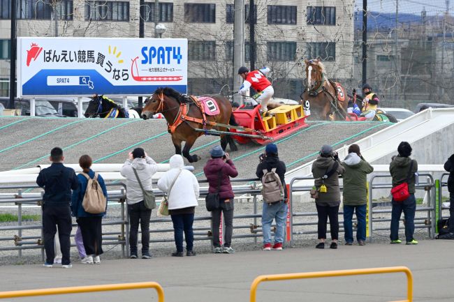 150頭が競走馬デビュー目指し奮闘 今年度「第1回能力検査」 | 十勝