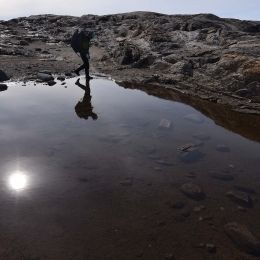 南極でも岩の間に水たまりがある