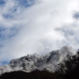 斜里岳。下二股付近（標高８００メートルあたり）からガスが晴れた雪化粧のピークを望む