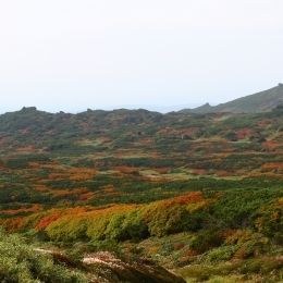 裾合平からの眺め。当麻岳西付近の紅葉