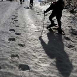 ルゥチシ峠への最後の急斜面を登る参加者。雪の表面が凍結し、慎重に進む