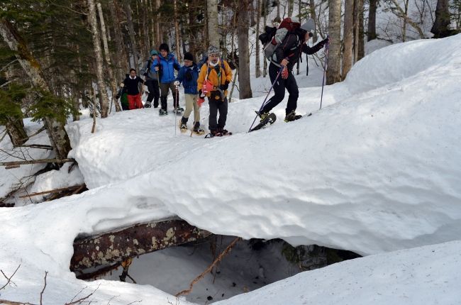 登行のルートになっている「カラ川」。雪をかぶった倒木の上を歩く箇所も